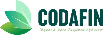 codafin, su futuro. Logotipo